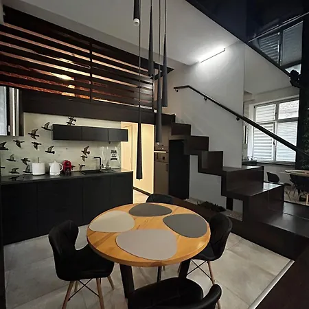 아파트 Vintage Bracka Loft