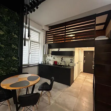 Vintage Bracka Loft Appartement