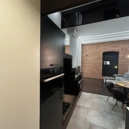 Appartement Vintage Bracka Loft *