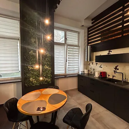 Appartement Vintage Bracka Loft