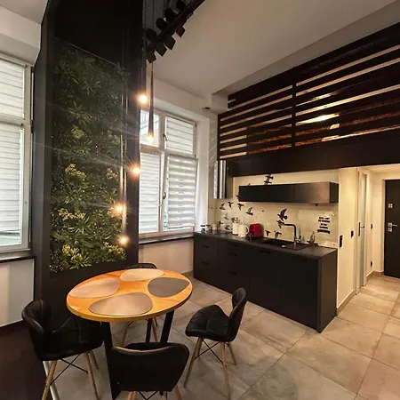 Appartement Vintage Bracka Loft