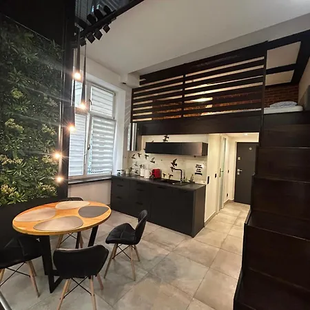 Vintage Bracka Loft Daire Krakow