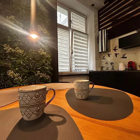 Vintage Bracka Loft 아파트 *