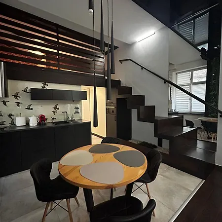 아파트 Vintage Bracka Loft