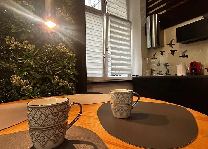 Vintage Bracka Loft Apartment *