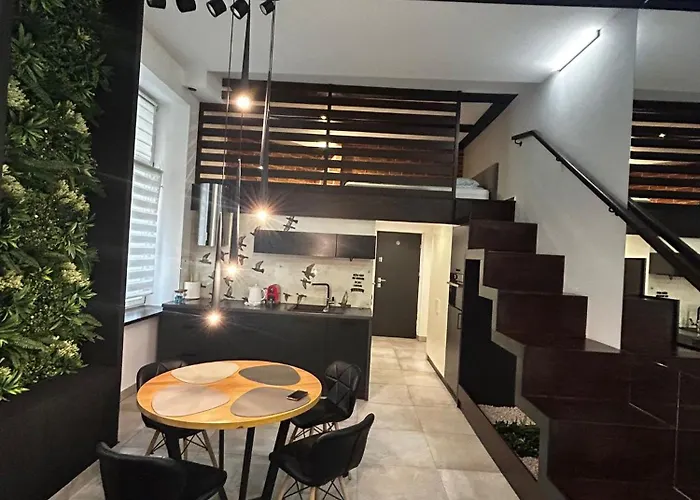 Apartman Vintage Bracka Loft *