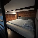 Vintage Bracka Loft 公寓 克拉科夫