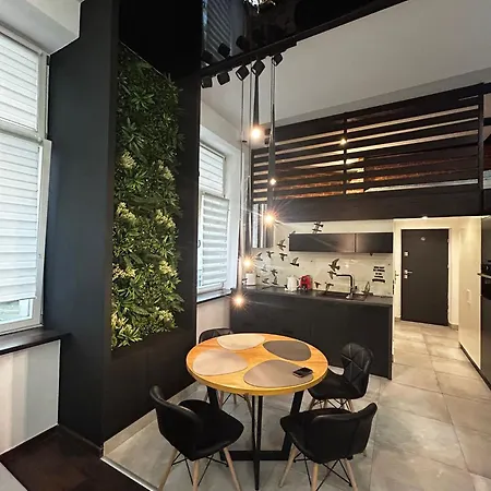 Apartament Vintage Bracka Loft