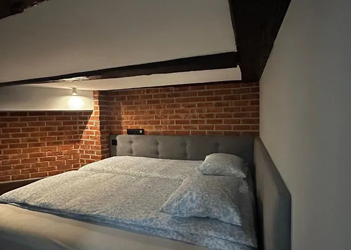 Vintage Bracka Loft Apartament